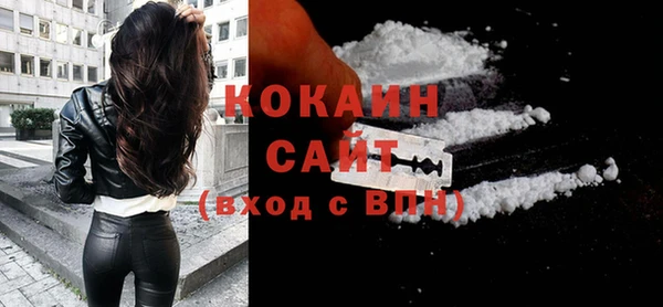 сатива Каменка