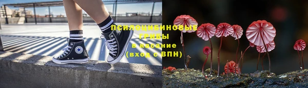 сатива Каменка
