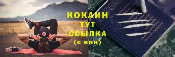 дмт Карпинск