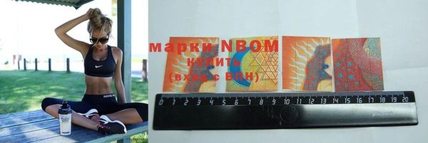 дмт Карпинск