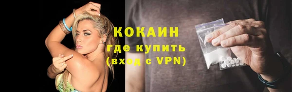 сатива Каменка