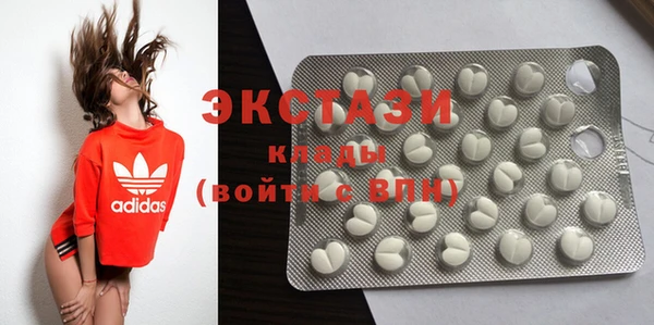 сатива Каменка