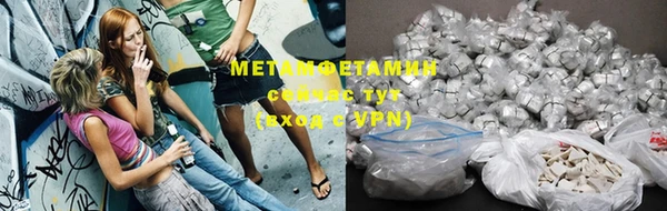 индика Новозыбков