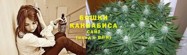 сатива Каменка
